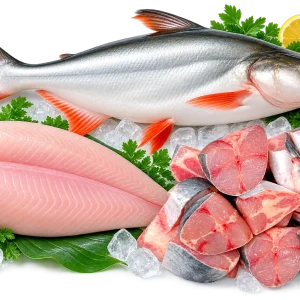 Pangash Fish Cut